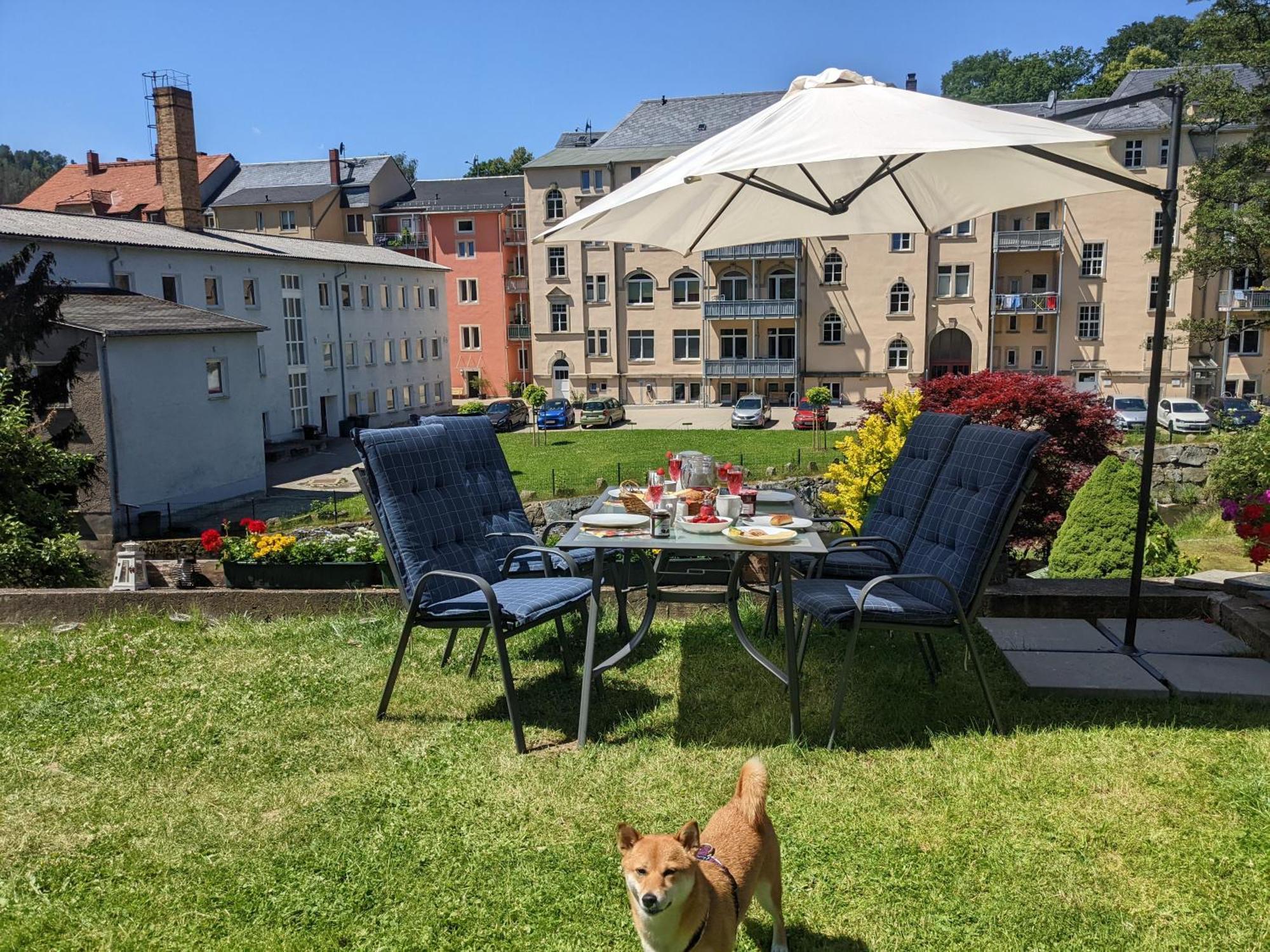 Hw1b - Urlaubsmagie Gemeinschaftsgarten Mit Pool, Sauna & Terrasse Apartment