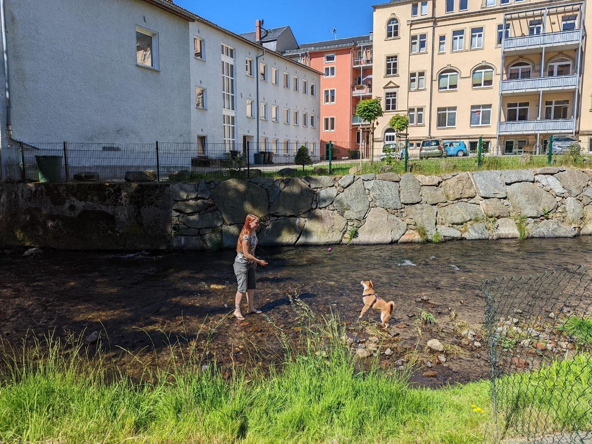 Hw1b - Urlaubsmagie Gemeinschaftsgarten Mit Pool, Sauna & Terrasse Apartment Sebnitz