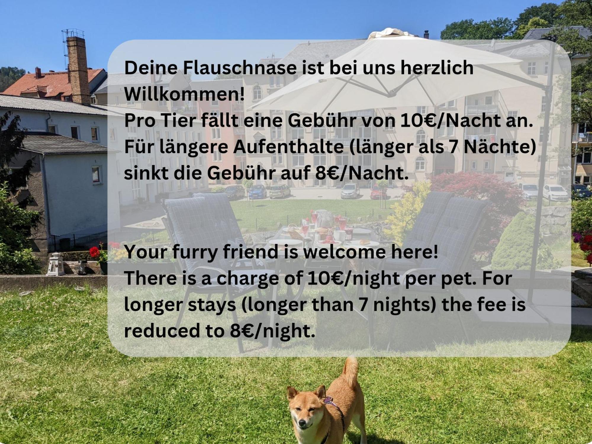 Apartment Hw1b - Urlaubsmagie Gemeinschaftsgarten Mit Pool, Sauna & Terrasse Sebnitz